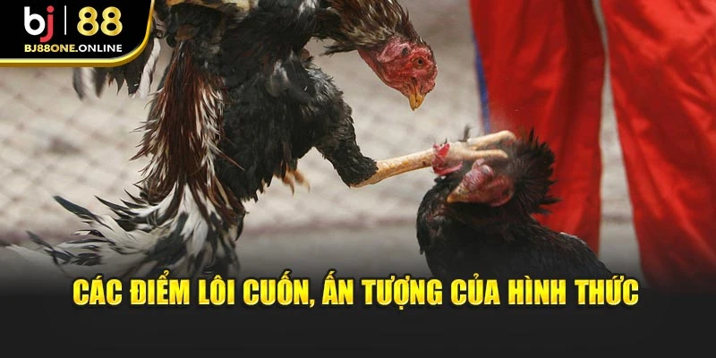Các điểm lôi cuốn, ấn tượng của hình thức