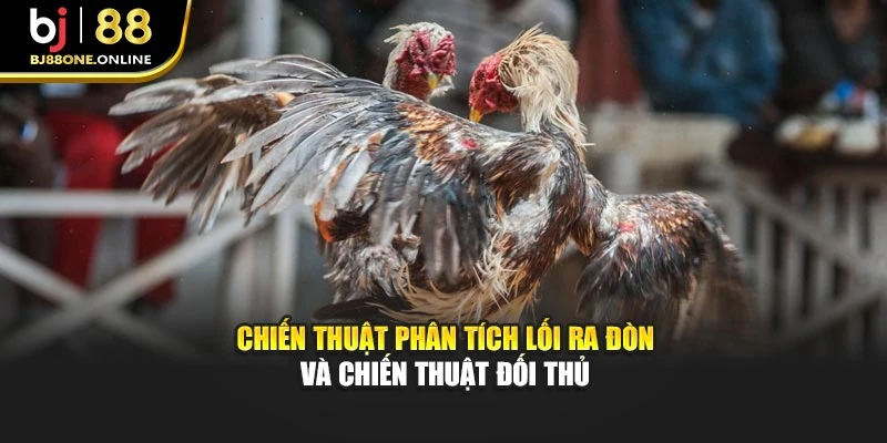 Chiến thuật phân tích lối ra đòn và chiến thuật đối thủ