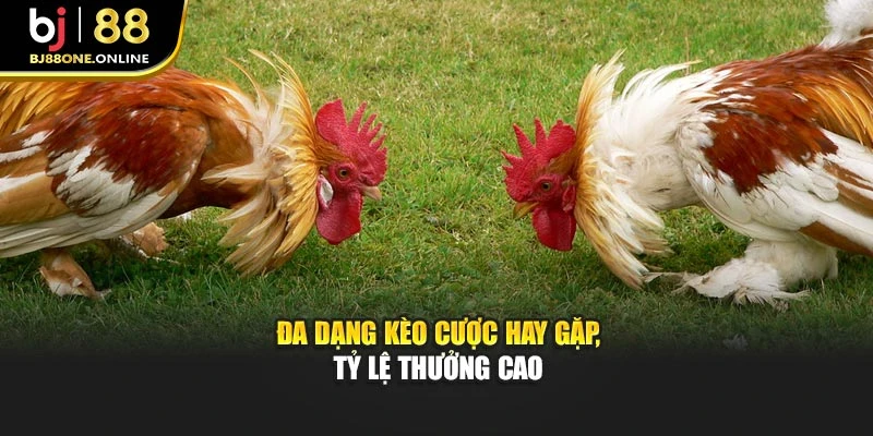 Đa dạng kèo cược hay gặp, tỷ lệ thưởng cao