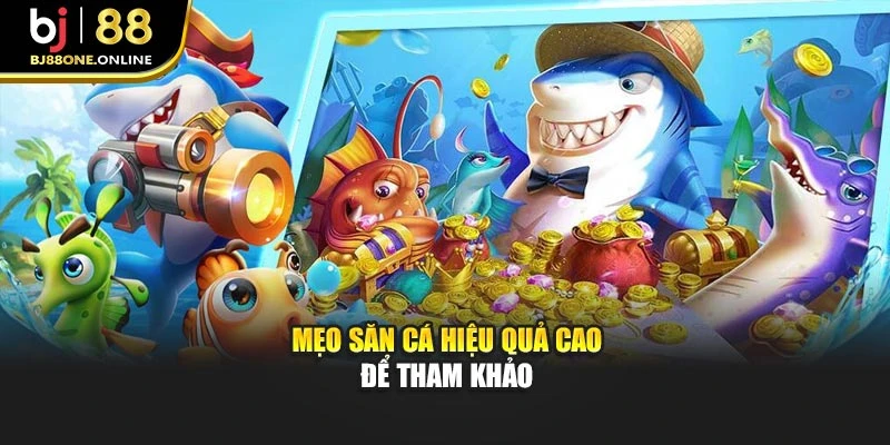 Mẹo săn cá hiệu quả cao để tham khảo