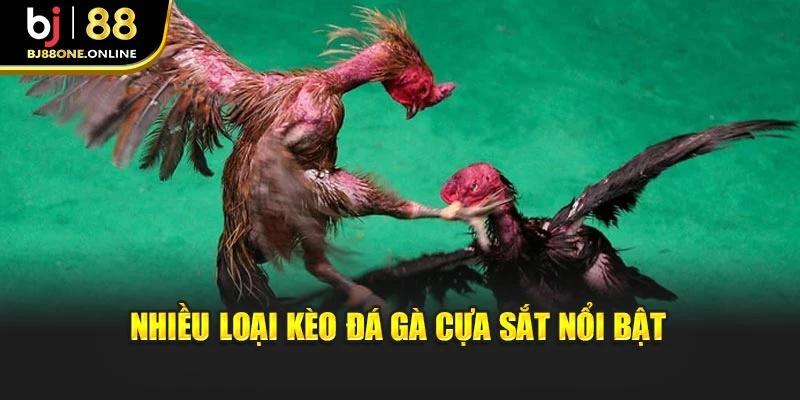 Nhiều loại kèo đá gà cựa sắt nổi bật