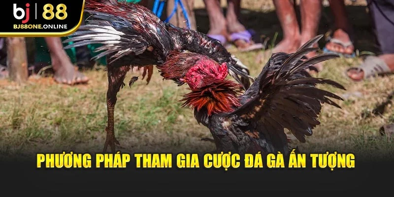 Phương pháp tham gia cược đá gà ấn tượng