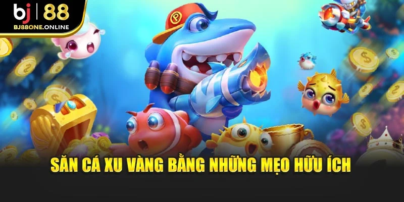 Săn cá xu vàng bằng những mẹo hữu ích